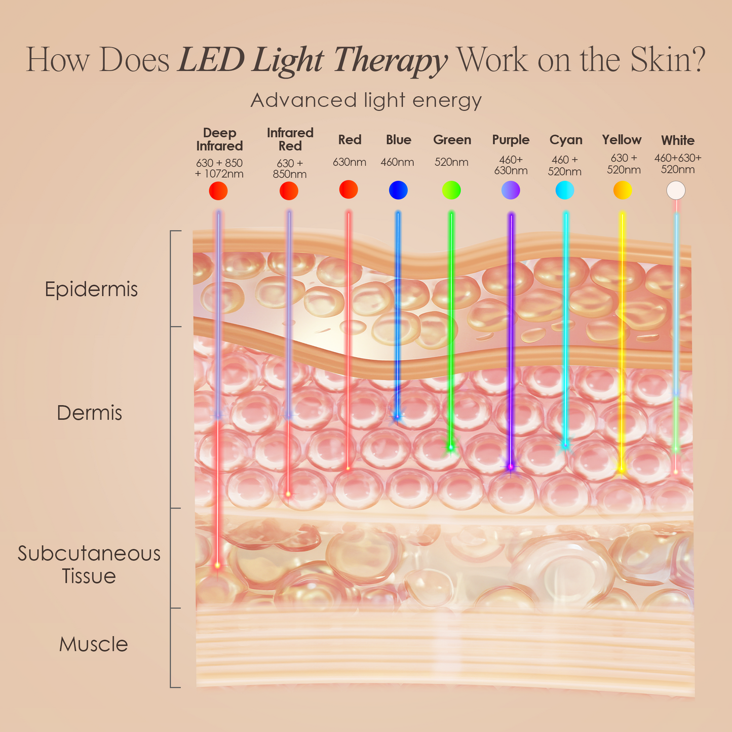 LumaLux Face | Pro LED Red Light Therapy Mask